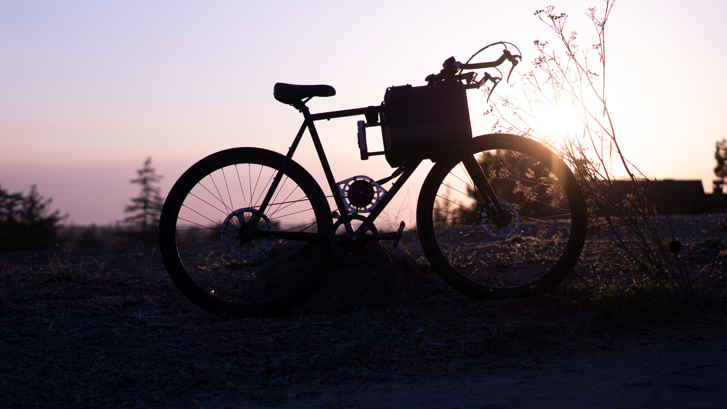Custom Electric Bike